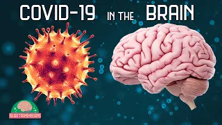 How COVID-19 Affects The Brain