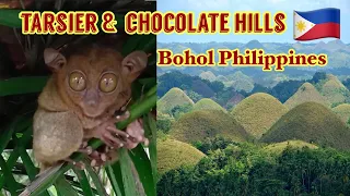 Tarsier and chocolate hills in Bohol Philippines #adventure