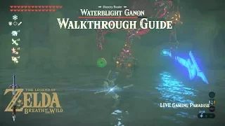 Breath of the Wild | EX Champion Mipha's Song [DLC 2] Illusory Realm [Waterblight Ganon]