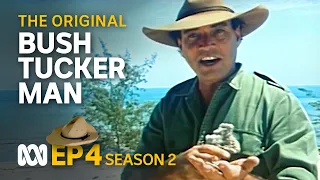 More survival tips from the Top End 🤠🗺️ | Bush Tucker Man | S2 EP4 | ABC Australia