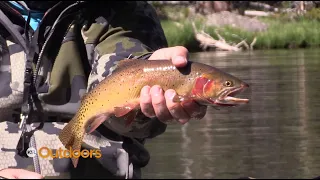 Boulder Mountain Fishing Part 2: Brookies and Colorado River Cutthroat