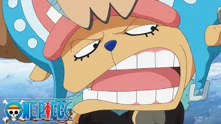 Franky Won't Stop Talking in Chopper’s Body | One Piece