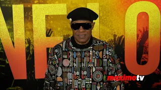 Stevie Wonder "Bob Marley: One Love" Los Angeles Premiere Black Carpet