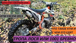 ТРОПА ЛОСЯ ИЛИ 1001 БРЕВНО. ОТЗЫВ О KTM EXC250 2013.ПРОБЛЕМКИ