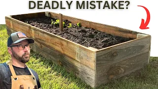 Is Pressure Treated Wood Toxic in Garden Beds? - The Definitive Answer