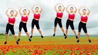 exercise daily routine, twist your waist, reduce fat, lose belly fat, slim waist/lovely dance fit