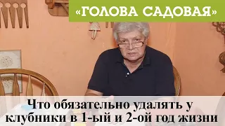 Голова садовая - Что обязательно удалять у клубники в 1-ый и 2-ой год жизни