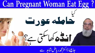 Can Pregnant Woman Eat Egg?