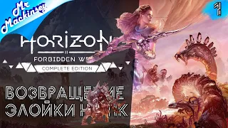 Элойка покоряет запретный запад ➤ Horizon Forbidden West #1