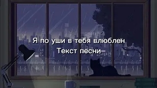 Я по уши в тебя влюблен/текст песни.