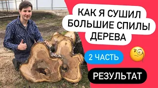 Как я сушил большие спилы. Результат