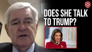 Newt Gingrich Compares His Relationship With Clinton to Pelosi & Trump