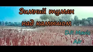 Зимний туман над камышом 4к  Cinematic Footage DJI Mavic Air