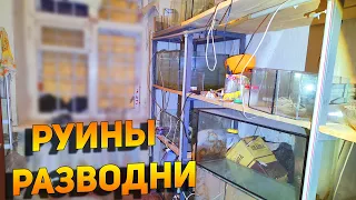 Харьков Очередная РАЗБИТАЯ РЫБОРАЗВОДНЯ АКВАРИУМНЫХ РЫБОК!