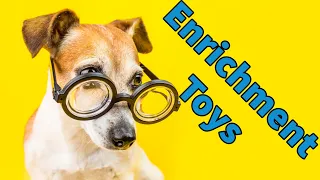 Transform Your Dog's Life with ENRICHMENT TOYS