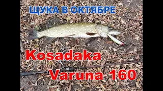 ОПЯТЬ КРУПНАЯ ЩУКА! KOSADAKA VARUNA 160 и GAD HARRIER 702 MHF