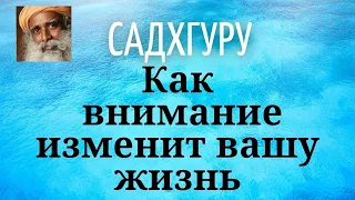 Садхгуру - Как внимание изменит вашу жизнь