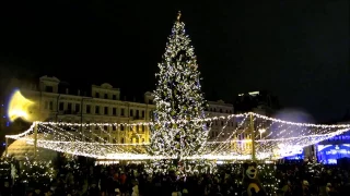 ГОЛОВНА ЯЛИНКА КРАЇНИ 2017 М+