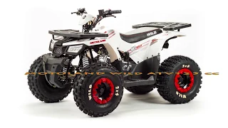 Motoland Wild ATV 125 cc