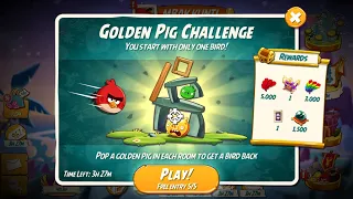 Angry Birds 2 AB2 Golden Pig Challenge! STRIKE! (New Account)