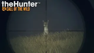 The Hunter Call of the Wild - #29 - Coyote Mission And Some Free Roam Hunting