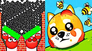 Hide Balls Brain Teasers VS Save The Dog Logic Puzzle || Android IOS