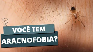 ARACNOFOBIA: Entenda o que é faça o teste pra saber se tem!