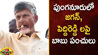 Chandrababu Satirical Punches On YS Jagan & Peddireddy At Punganur | TDP Vs YCP | AP Elections 2024