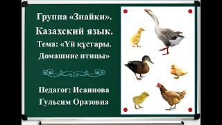 Үй құстары. Домашние птицы на казахском языке. Уроки казахского языка. Уй кустары казакша. ИГО-ГО
