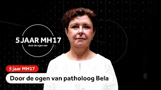 MH17: Patholoog Bela onderzocht slachtoffers van de vliegramp bij het NFI