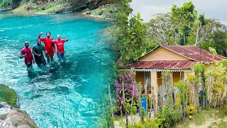 LOS CAMPOS DE REPUBLICA DOMINICANA SON INCREIBLES