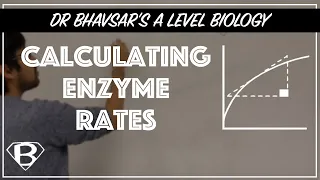 A level biology: How to calculate enzyme rates