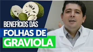 Os benefícios do chá das folhas de graviola no combate ao câncer