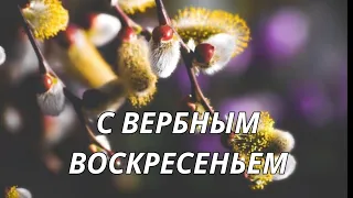 С Вербным Воскресеньем!!!Музыкальное поздравление.