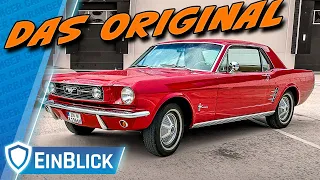 Ford Mustang (1966) - IKONE seit dem ERSTEN TAG! Schön, sportlich & günstig - Fords großer Wurf