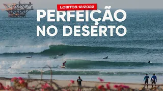 Perfeição no Deserto - Lobitos 12/2022 #surf #peru #lobitos #surfing #waves #pointbreak #deserto