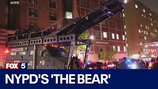 NYPD's 'the bear'