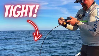 EXOTICS 50miles! OFFSHORE In BLACKJACK 256 | POTENTIAL RECORD | Catch Clean Cook