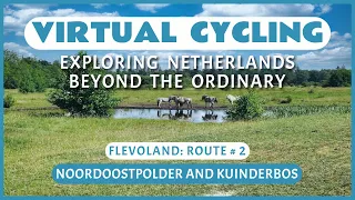 Virtual Cycling | Exploring Netherlands Beyond the Ordinary | Flevoland Route # 2