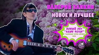 Валерий Залкин - Новое и лучшее 2023 @romantika_shansona #одинокаяветкасирени