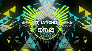 Festival Mainstage EDM 23, DJ LYNCHO