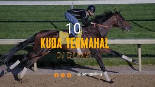 10 Kuda yang Paling Mahal di Dunia