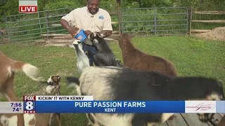 Pure Passions Farm puts Kenny to work feeding goats breakfast