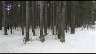 В коме после катания на бублике