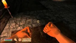 Best oblivion glitches (these should not get patched)