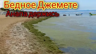 Анапа Сегодня В Водорослях,пляжи  / Витязево сейчас 2023