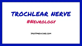 Trochlear Nerve // Neurology