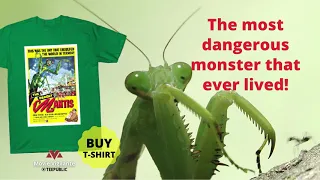 The Deadly Mantis:The most dangerous monster that ever lived!