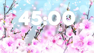 45 Minute Relaxing Spring Timer 🌸