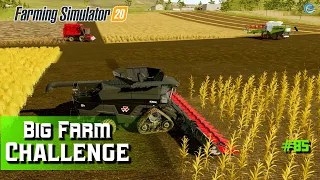 FOUR CROPS HARVESTING IN ONE FIELD || BIG FARM CHALLENGE || FARMING SIMULATOR 20 HINDI GAMPLAY